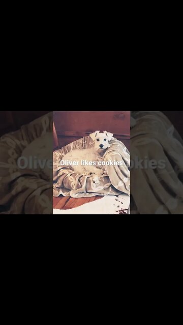 Oliver likes Cookies!