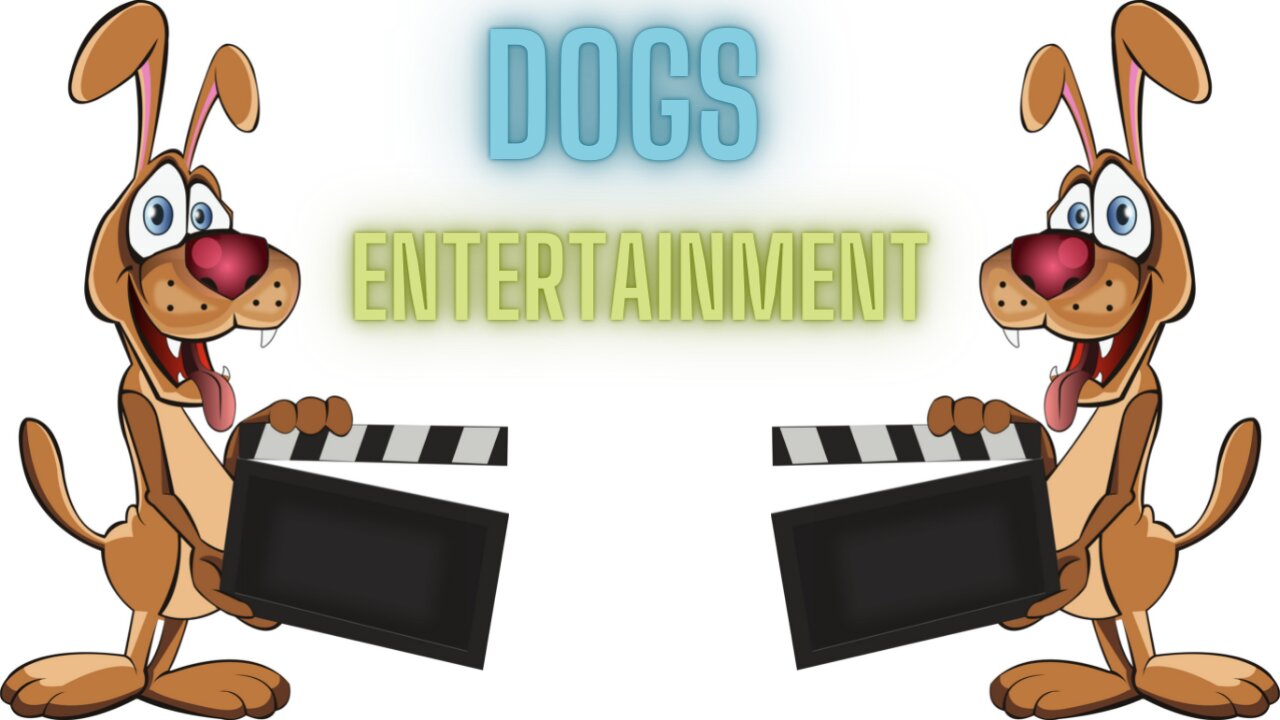 Entertainment Video about the Dogs - Dogs make our Life so much better