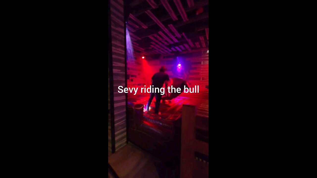 Bull Riding