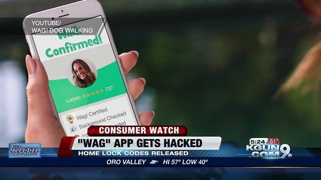 Dog walking app suffers security breach