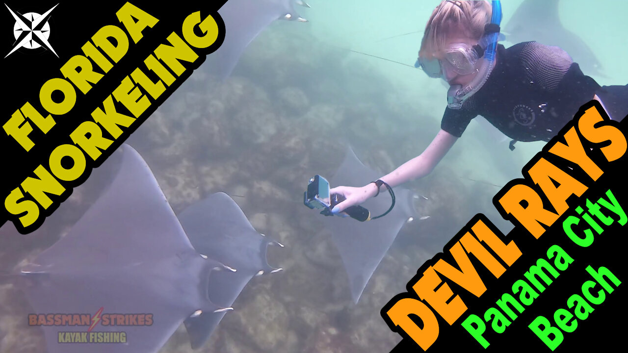 Snorkeling The Florida Gulf Coast with Devil Rays And Other Marine Life (St. Andrews State Park, Panama City Beach)