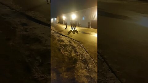Catching Bad Guys by Night