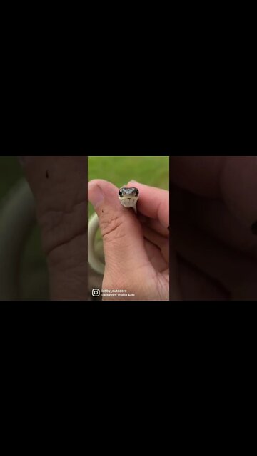 Catching snakes on the farm #ribbonsnake #farm #countrylife