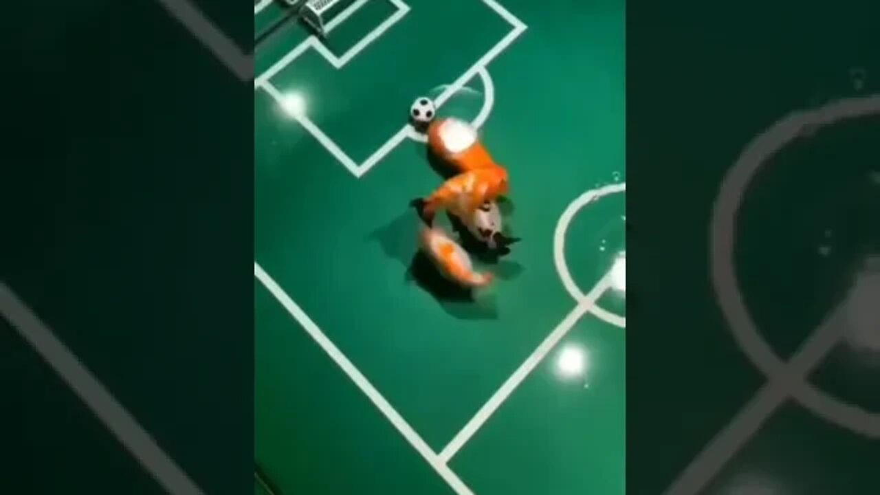 futebol aquático 😯😯😯
