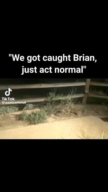 Raccoons 😂😂😂