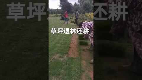In the CCP's Latest “Turning the Forests into Farmland", Even Grass Land is Not Exempted