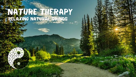 Nature Therapy: Relaxing Natural Sounds Of Nature With Atmospheric Music