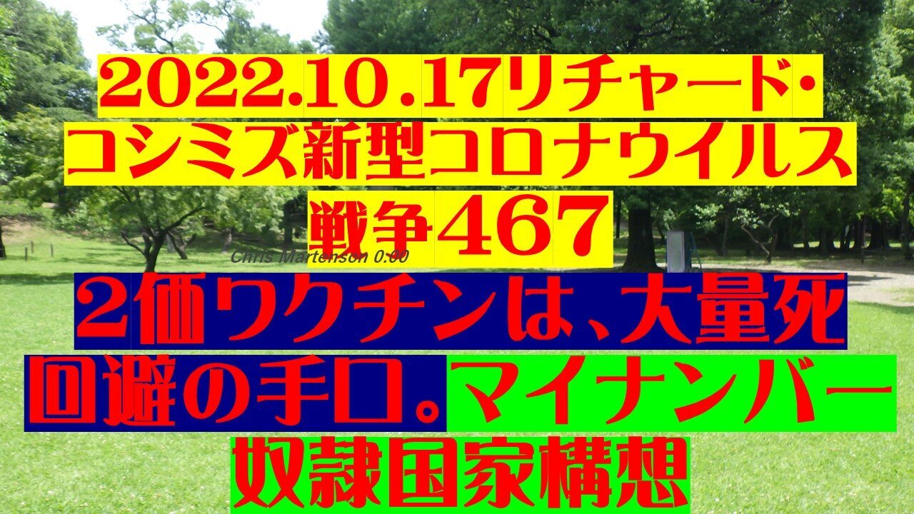 2022.10.17 リチャード・コシミズ新型コロナウイルス戦争４６７