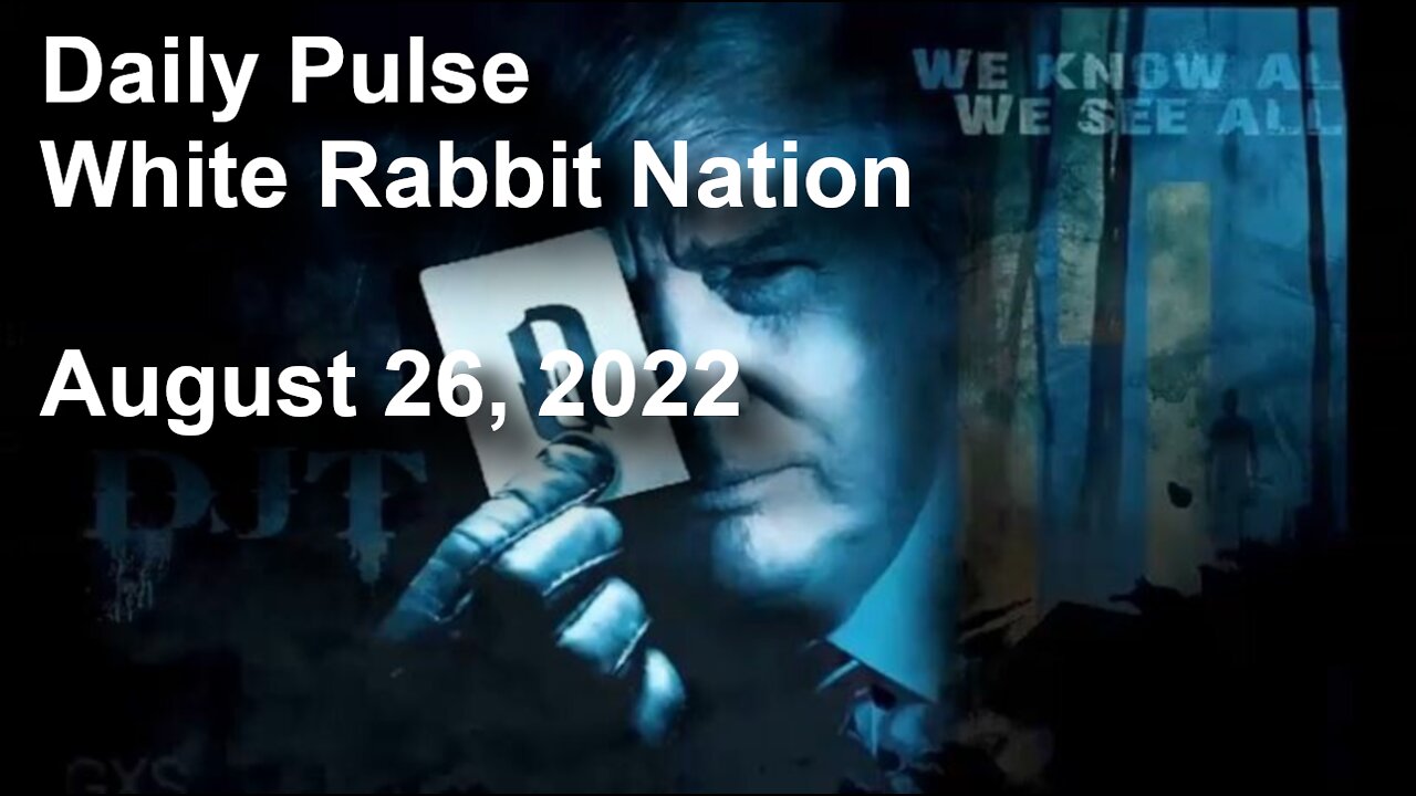 Daily Pulse - August 26, 2022