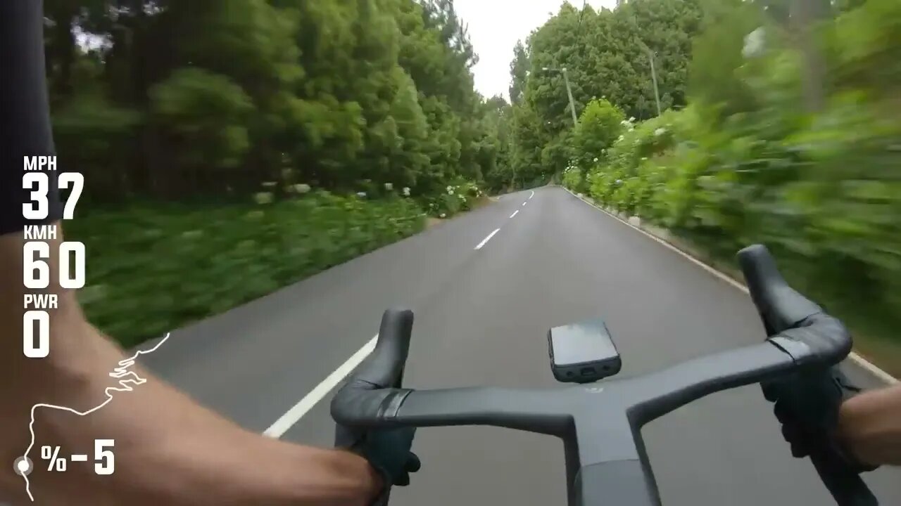 The Many Hairpins of Porto Moniz | SCOTT Foil in madeira