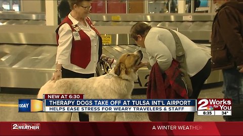 Therapy dogs take off at Tulsa International Airport