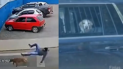 Very trange accident in Romania