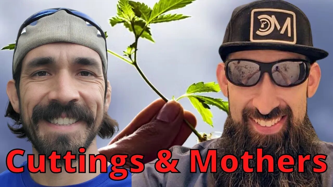 How to Maintain mother plants & clones in your garden