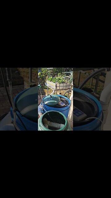 From Aquaponics to Aquaculture With the Twist of a Valve #backyardaquaponics