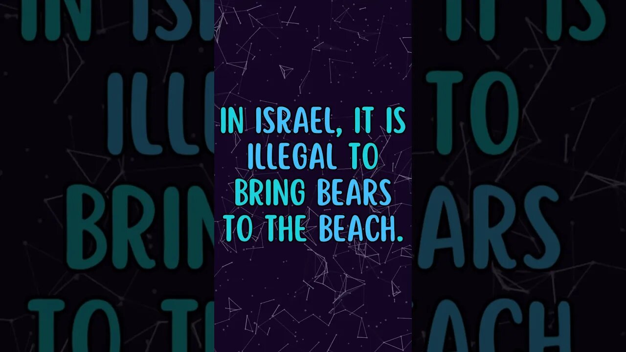 🤯🐻Interesting Facts! 👀 #shorts #shortsfact #facts #generalfact #interestingfacts #bear #israel #ban