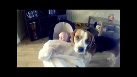 This Dog Was Left Alone With The Baby – But The Family Were Filming His Behavior