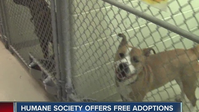 Indy Humane Society offers free adoptions