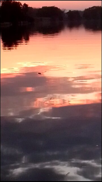 Big River on Gumbayngirre Country at Sunset 🌇