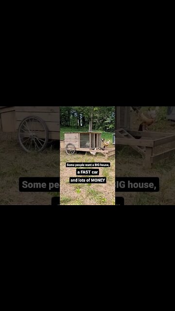 Chickens, family & life #chicken #homesteading #chickencoop #homestead #ready