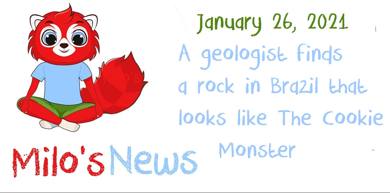 LNE.news - Milo's News - 1-26-2021 - An Agate Rock that Looks Like Cookie Monster