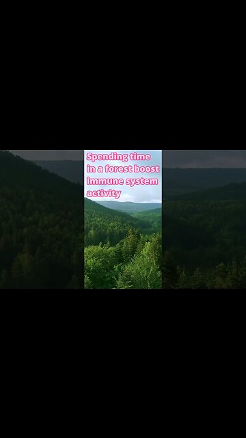 Forest Sounds And Facts #Shorts 🌲