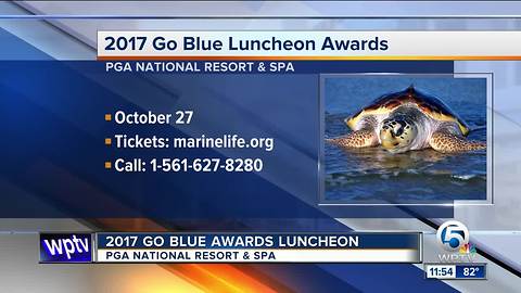 2017 Go Blue Luncheon Awards on Oct. 27