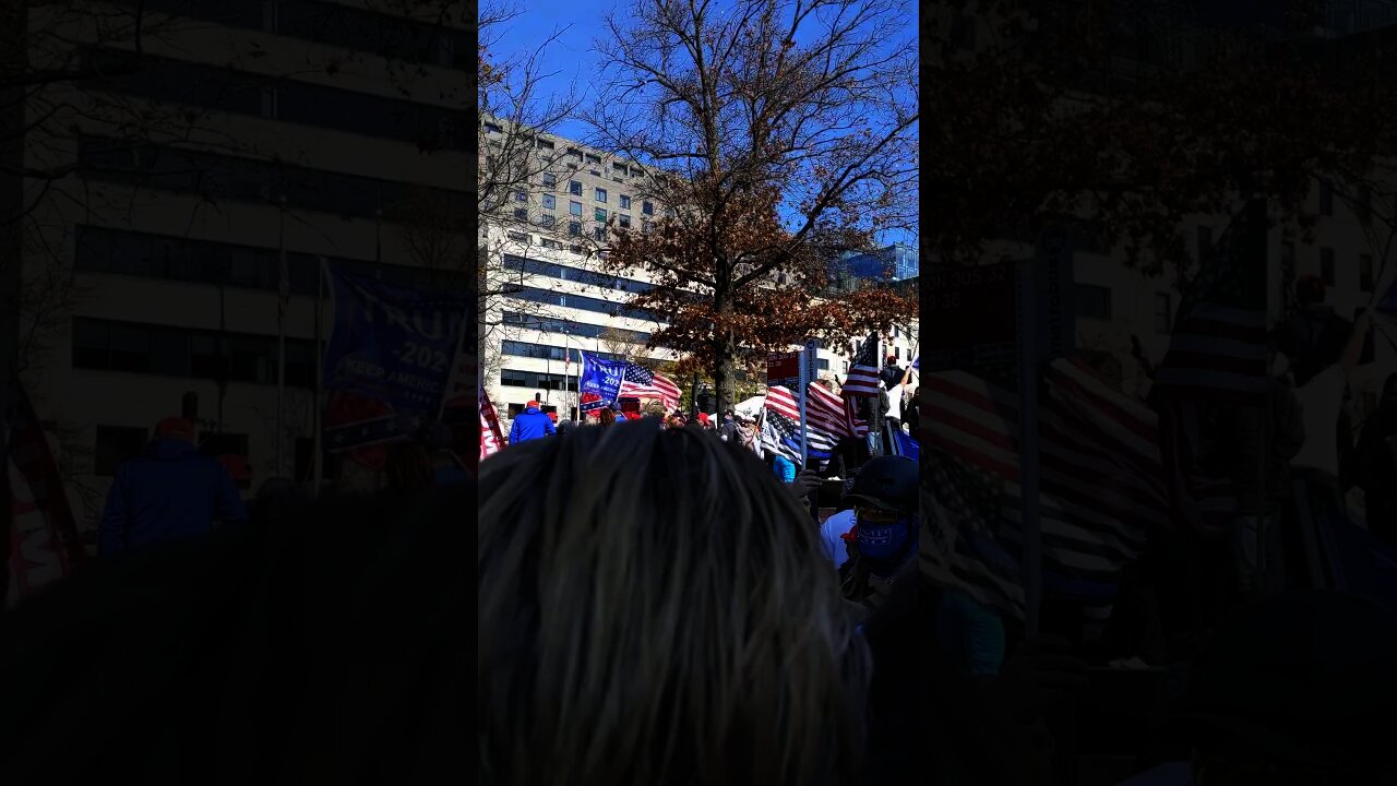 "USA! Stop the Steal!" “美國！停止偷竊選舉”