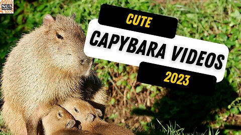 Cutest Capybaras Ever! Perfect for First-Time Viewers 🌟🦙😍