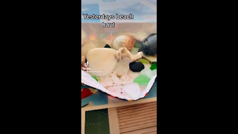 Beachcombing haul 🥳