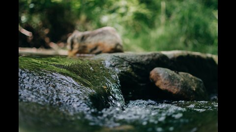 Water Sounds for FAST Deep Sleep - The Water Stream in the Forest | 1 Hour