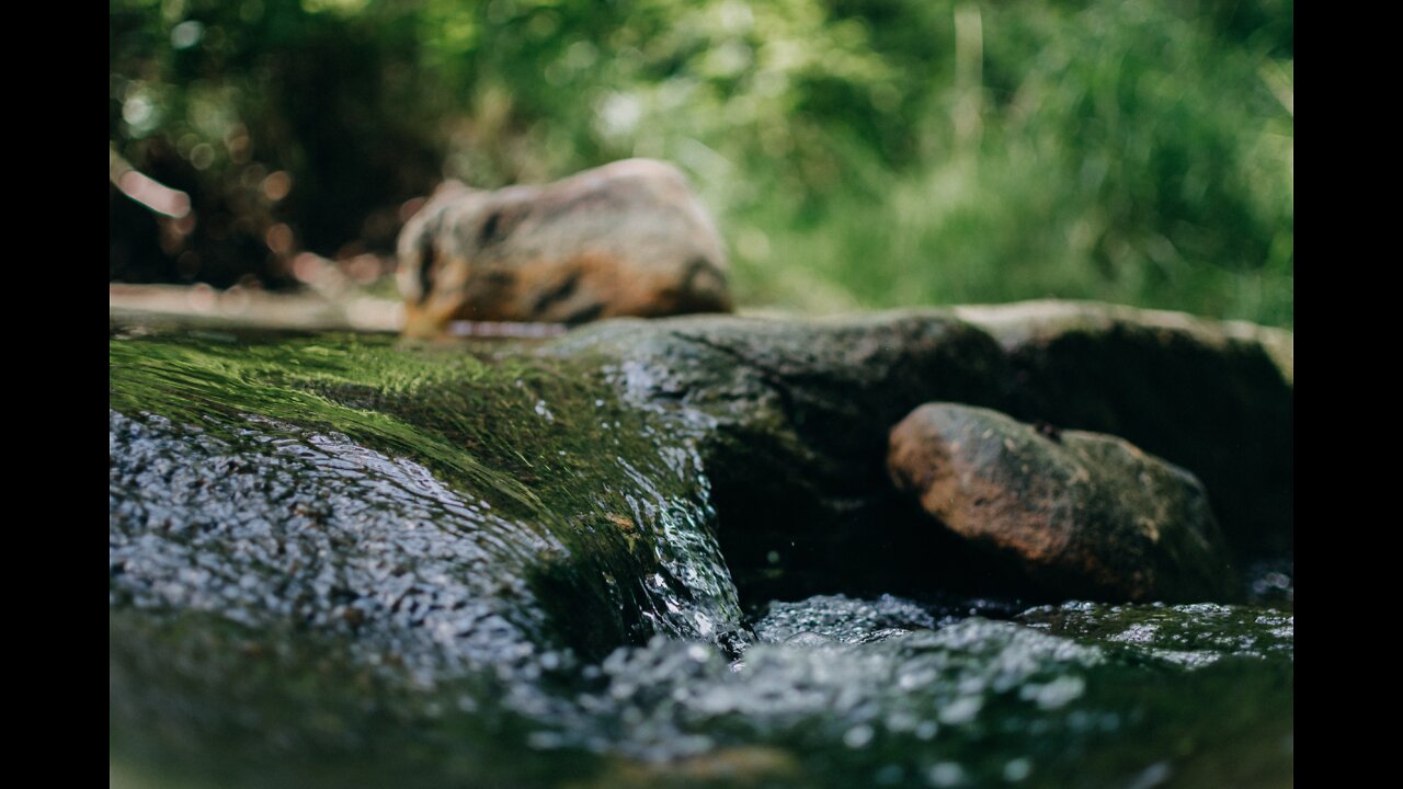 Water Sounds for FAST Deep Sleep - The Water Stream in the Forest | 1 Hour