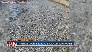 Pinellas County scaling back red tide cleanup efforts