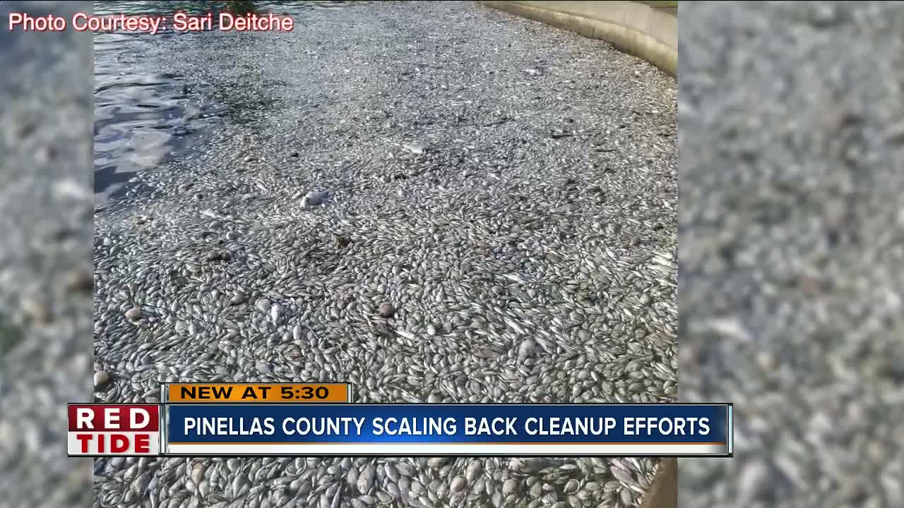 Pinellas County scaling back red tide cleanup efforts