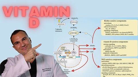 Vitamin D's Superpower: MASTER Antioxidant Regulator and Cell Protector