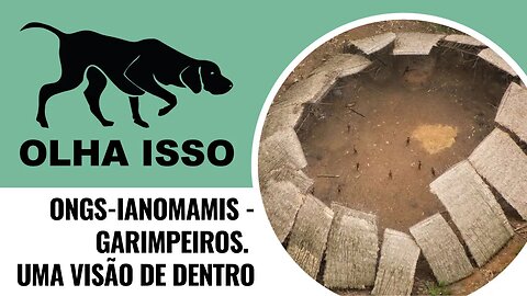 ONGs-IANOMAMIS - GARIMPEIROS. UMA VISÃO DE DENTRO