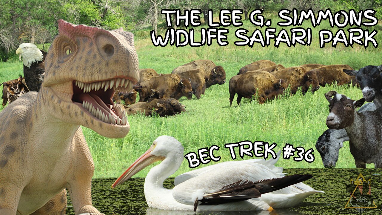 Native Nebraska Wildlife Galore (AND DINOSAURS) | BEC TREK Episode 36