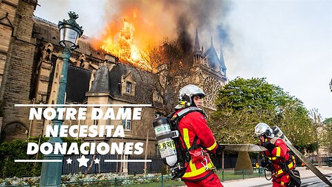 Las donaciones a Notre Dame no están llegando