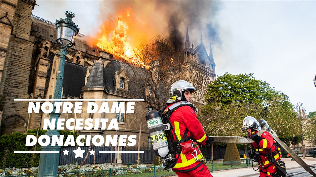 Las donaciones a Notre Dame no están llegando