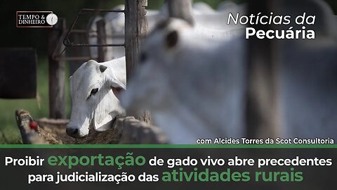 Proibir exportação de gado vivo abre precedentes para judicialização das atividades rurais.