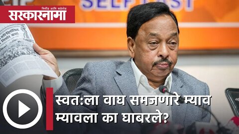 Narayan Rane | स्वत:ला वाघ समजणारे म्याव म्यावला का घाबरले?; नारायण राणे | Sarkarnama