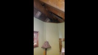AirBnB Beautiful but not good for Audio Privacy.