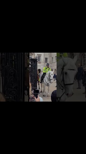 Tourist move to make way for police horse's #horseguardsparade