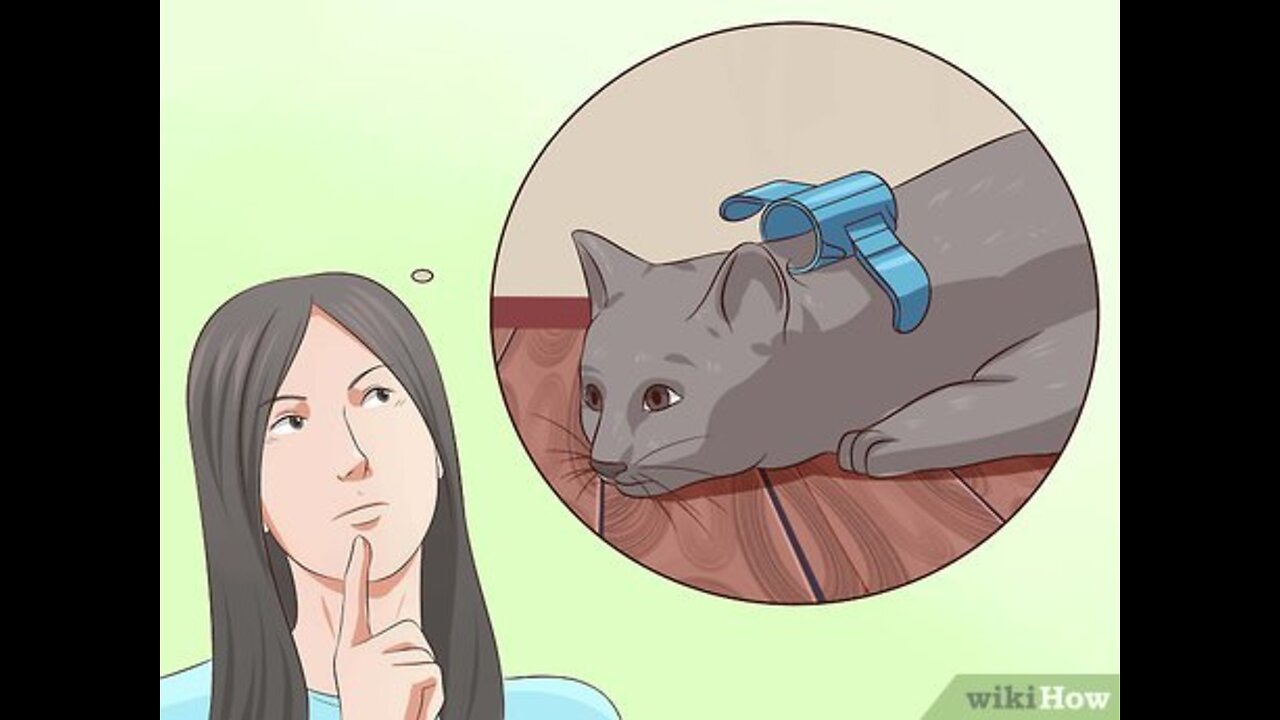 How to deactivate angry Cat