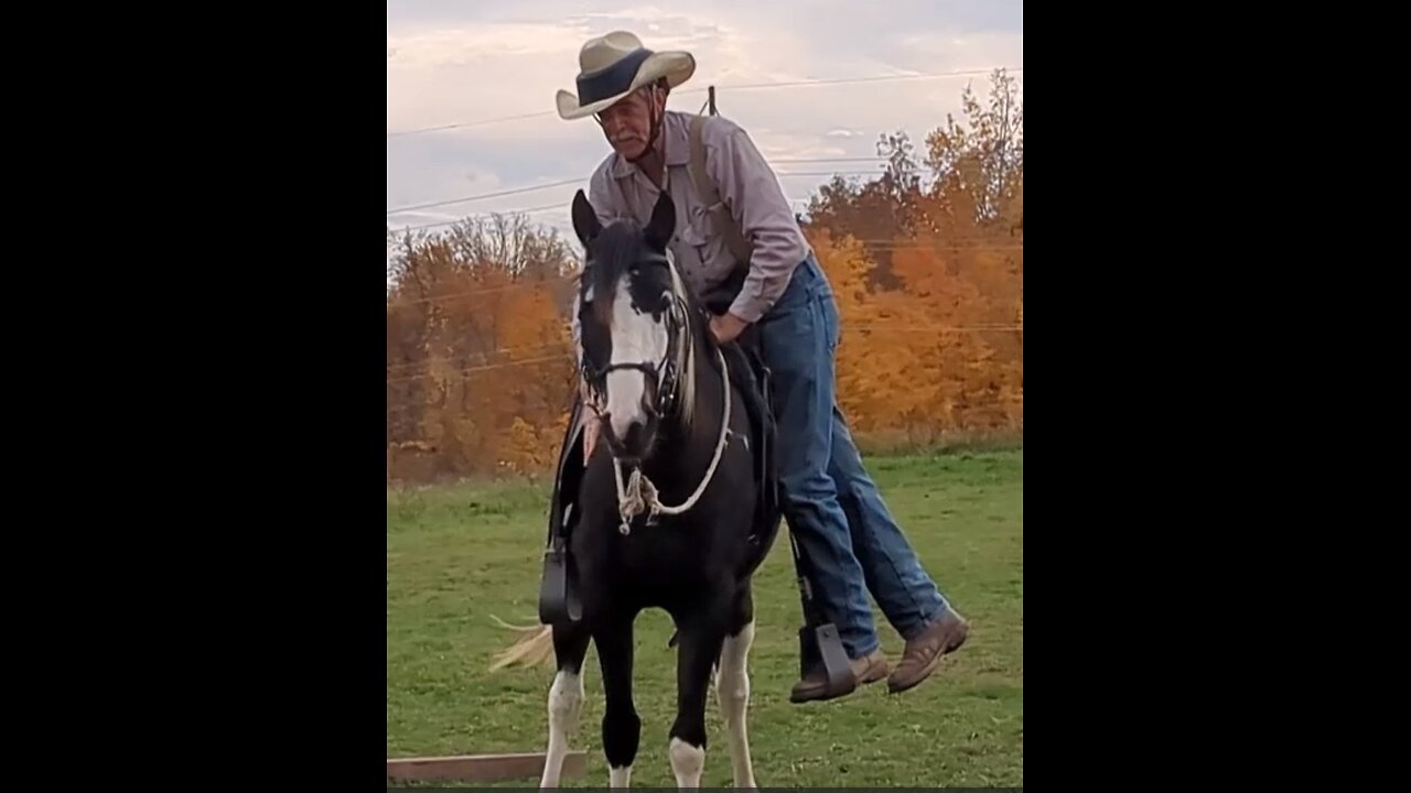 Saddling and first ride on Rain the Spotted Saddle Horse - 26 Oct 2023