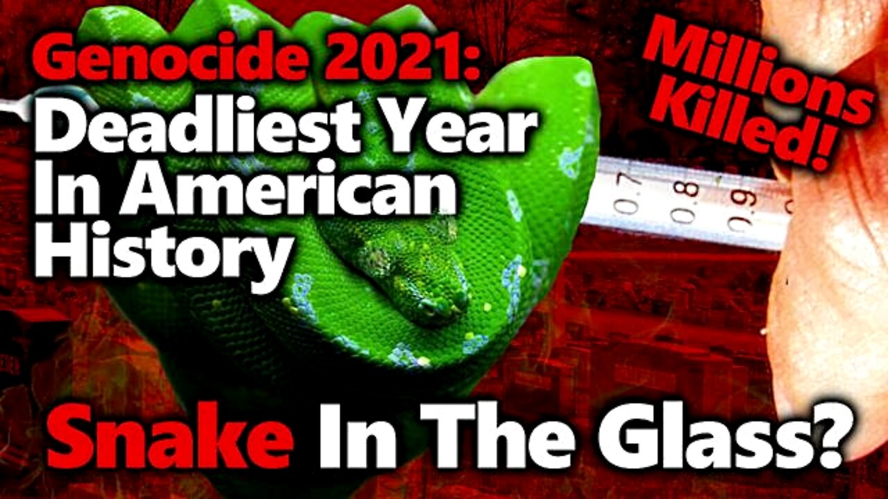 GENOCIDE CONFIRMED 3-5 MILLION Americans Died In 2021- Deadliest Year EVER in USA- Vaccine Madness!