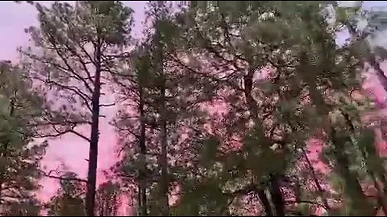 The Chance Fire outside Ruidoso, New Mexico.