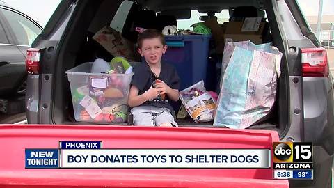 Boy donates toys to Valley shelter dogs