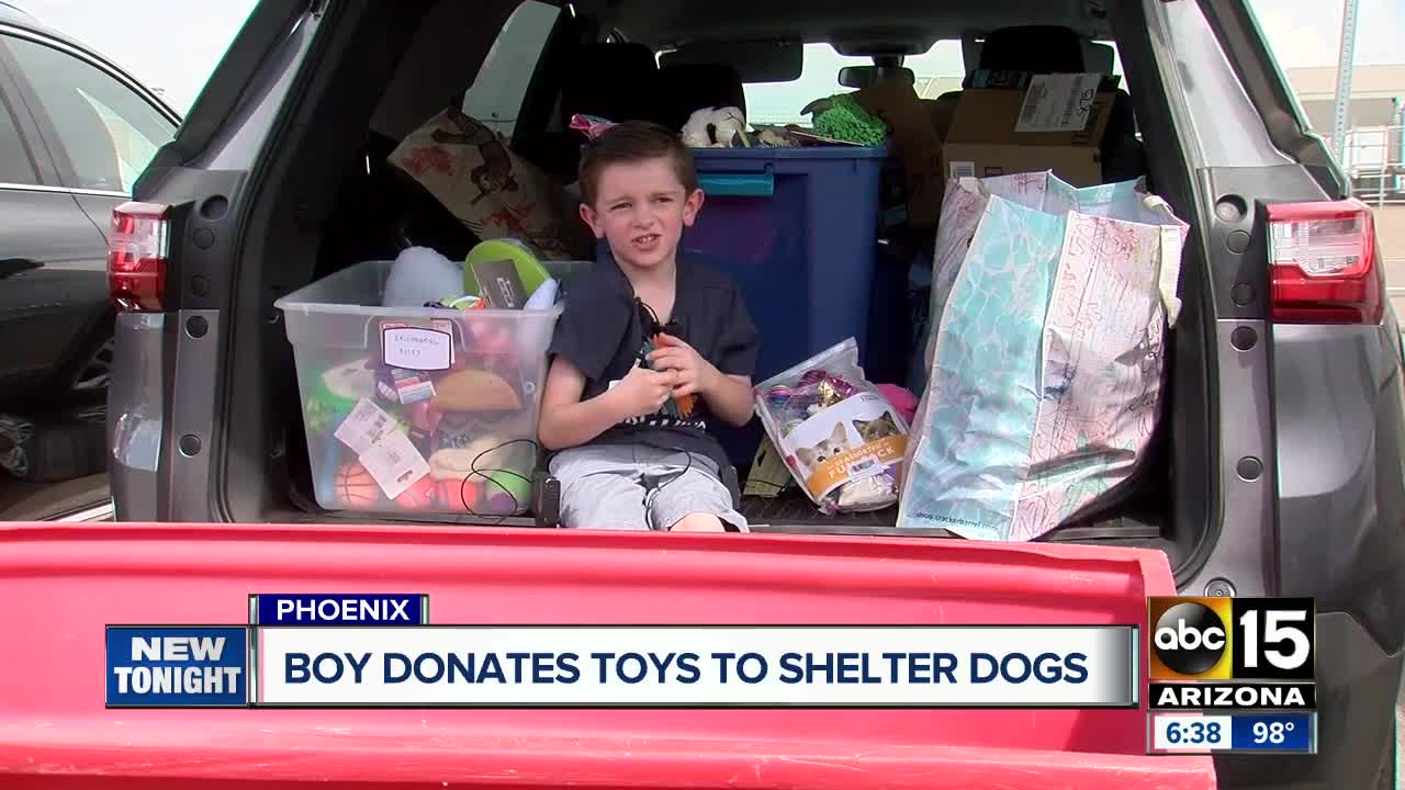 Boy donates toys to Valley shelter dogs
