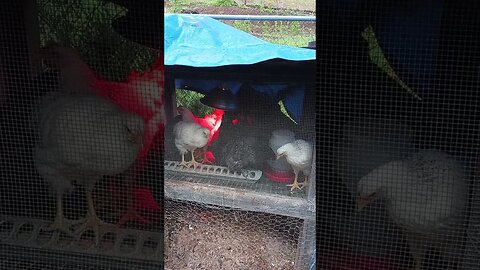 INDICTED! - THE BALL IS ROLLING! MFATW REVELATION FULFILLMENT ABOUT TO ENSUE?