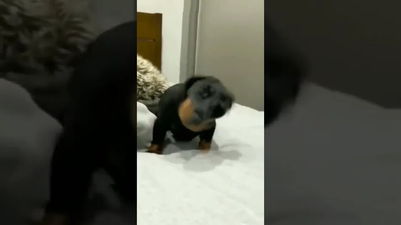 ۲۲ اکتبر ۲۰۲۲